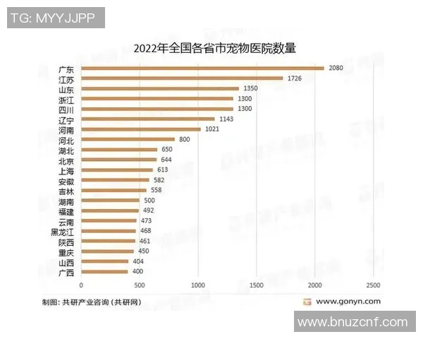 成都与重庆足球队赛后分析实力对比与未来展望 成都与重庆足球队赛后分析实力对比与未来展望