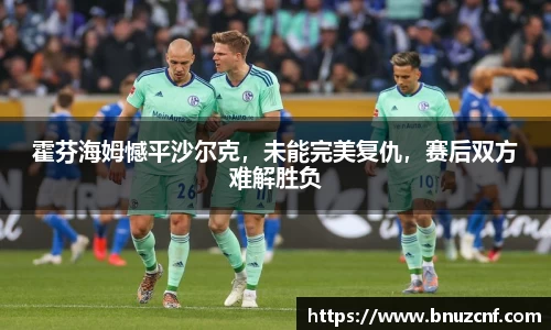 霍芬海姆憾平沙尔克，未能完美复仇，赛后双方难解胜负